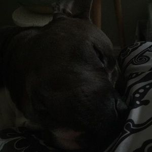 Meet your Posher, Keith